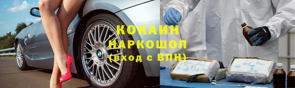 кокс Арсеньев
