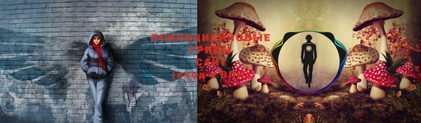 марки lsd Алзамай