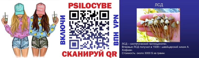 Галлюциногенные грибы GOLDEN TEACHER  Пустошка 
